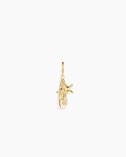 Ocean Cluster Parker Charm