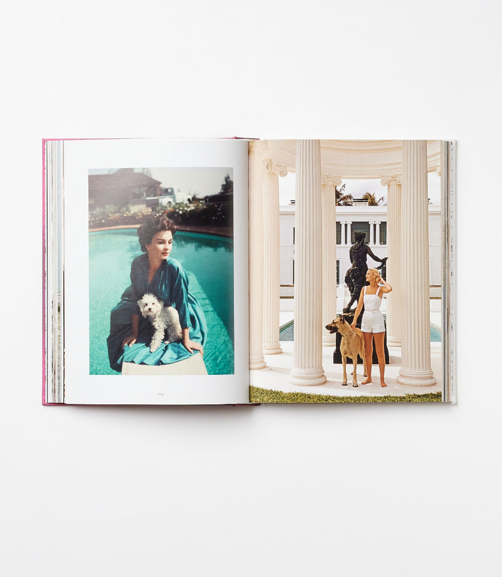 Chic Dogs